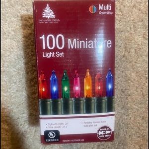 100xt Multicolor Christmas Lights